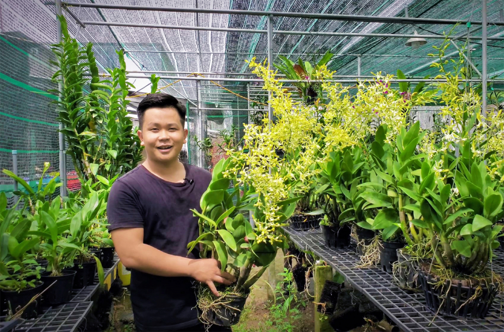 Người của các nhà vườn trồng hoa ở H.Bình Chánh (TP.HCM) và tỉnh Long An rất vui mừng khi lượng hoa tết năm nay đã được các thương lái đặt mua gần hết