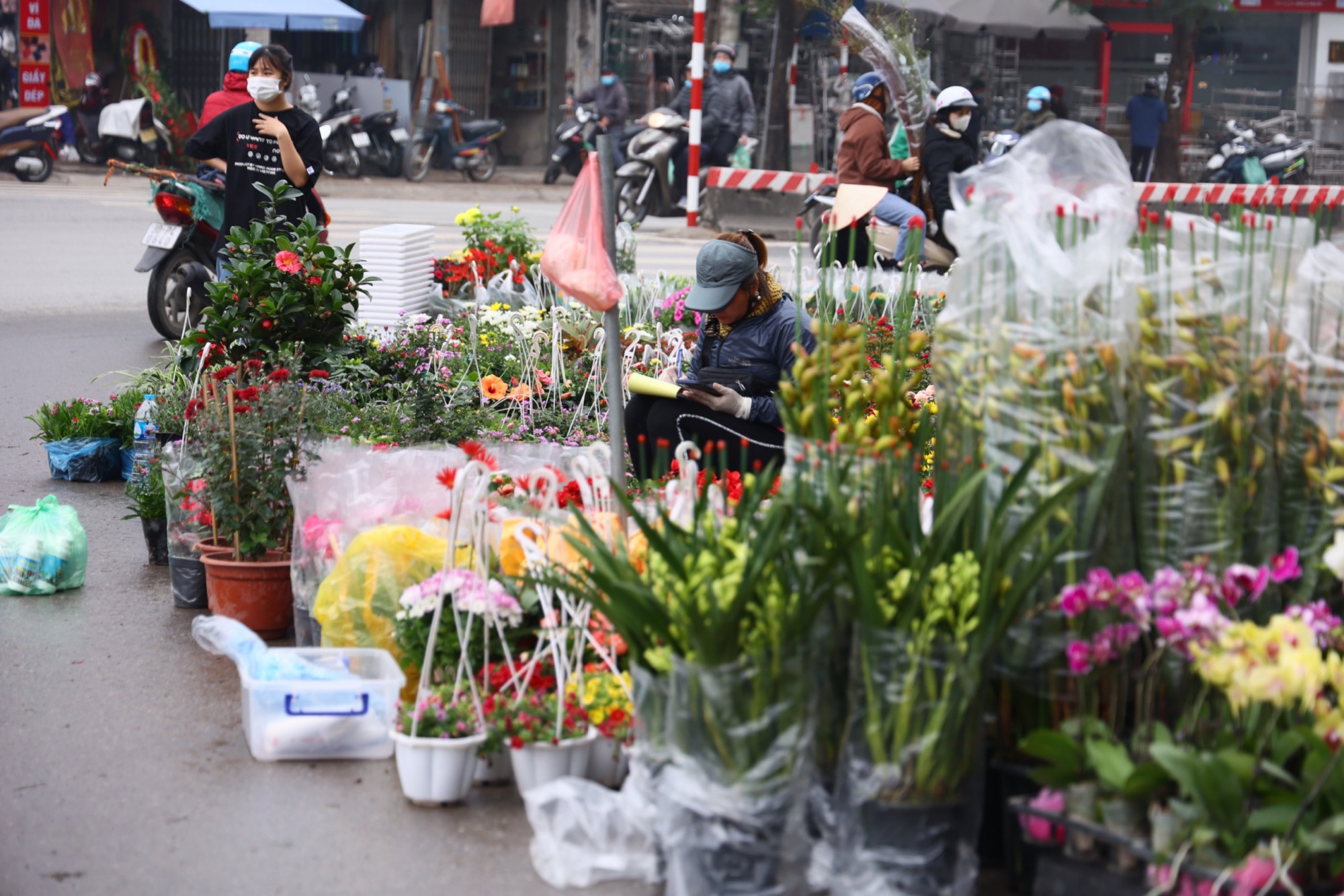 Ngã tư Hoàng Hoa Thám - Lạc Long Quân là điểm bán cây nổi tiếng của Hà Nội. Những ngày cuối tuần vừa qua người dân đổ về đây mua cây rất nhiều.