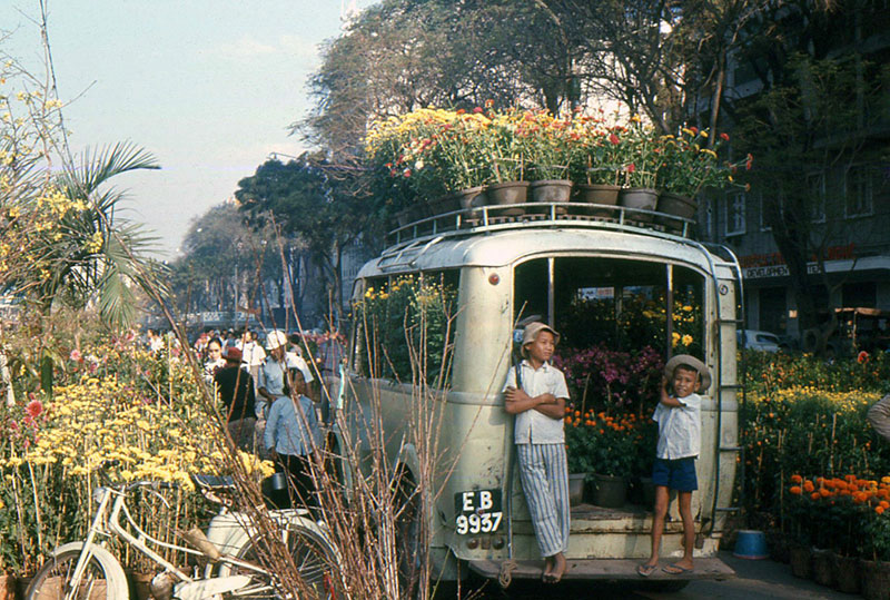 Tết Sài Gòn từ xưa tới nay không thể thiếu hoa. Những nhà vườn ở Gò Vấp, Hóc Môn, Thủ Đức… có đủ thứ hoa kiểng từ quất, mai, mai chiếu thủy, vạn thọ, cúc… 