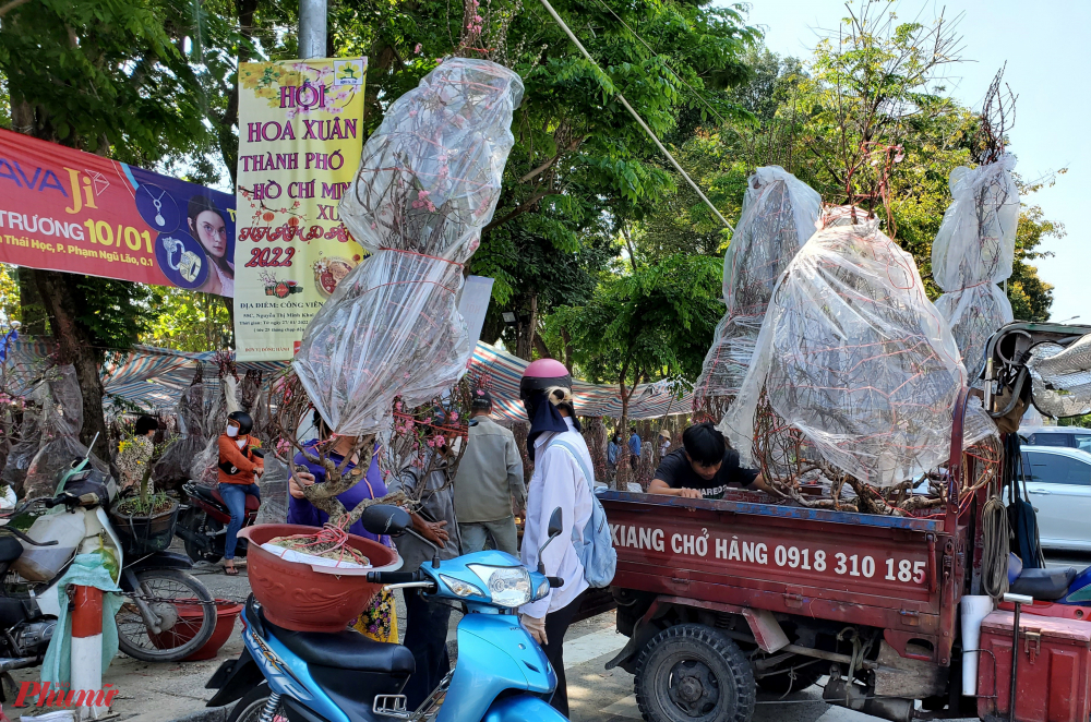 Tại khu vực công viên 23 Tháng 9 trên đường Lê Lai quy tụ hàng chục gian hàng chủ yếu bán hoa đào miền Bắc. Không khí trước giờ đóng chợ hoa trở nên tấp nập mua bán vì loại hoa này giảm giá gần như sập sàn.