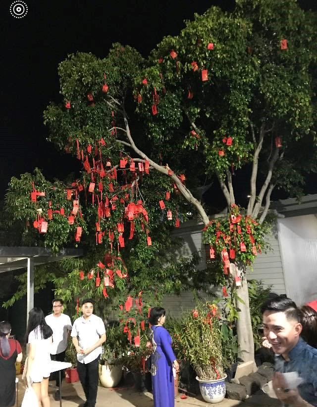 Năm nay chính quyền tiểu bang phối hợp với chùa Quang Minh tổ chức lễ hội đêm giao thừa rất thành công