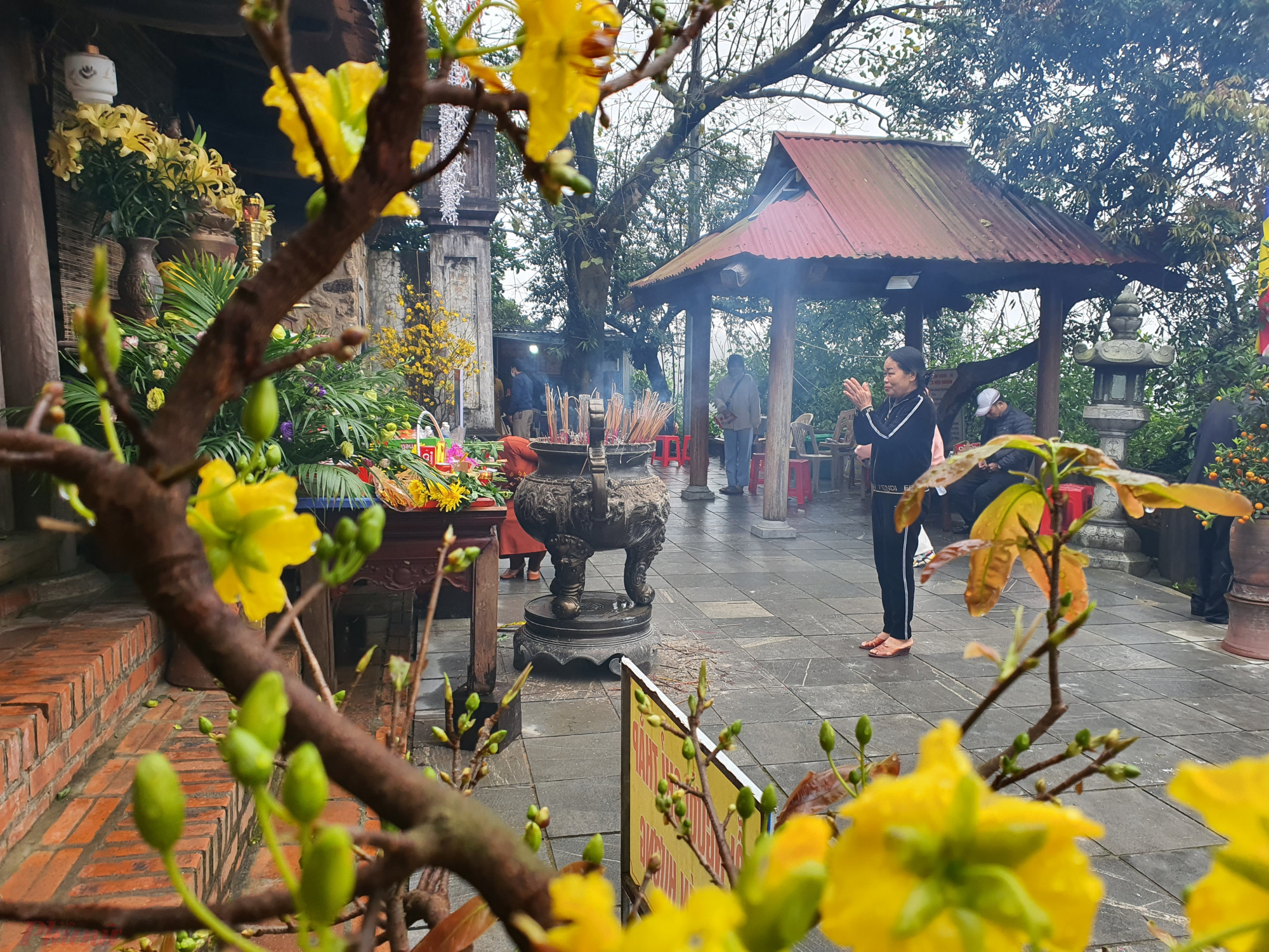 Cầu mong một năm mới sức khoẻ an yên, vạn sự như ý, gia đình đầm ấm, con cháu đông vui