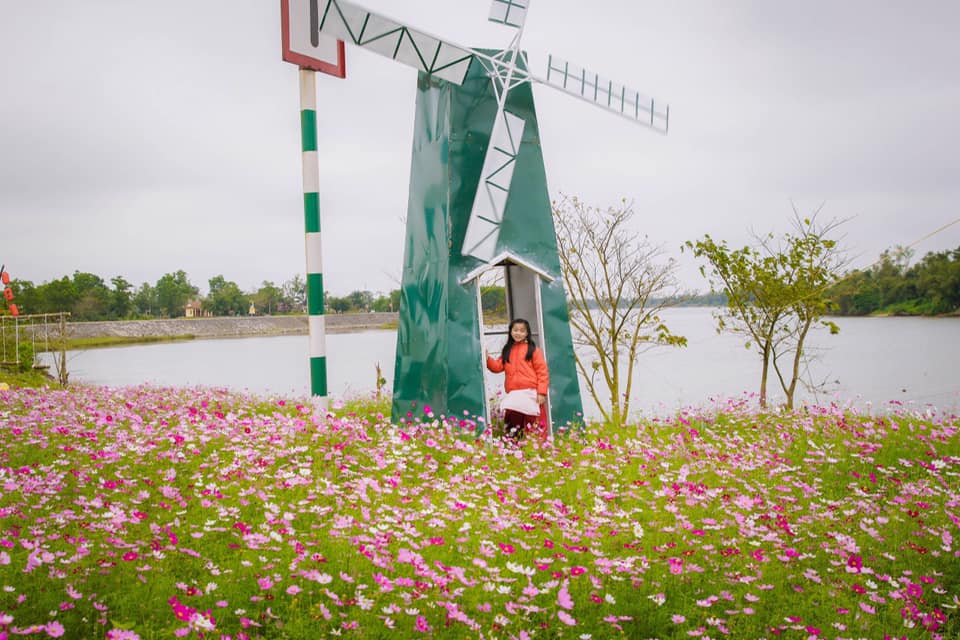 Vườn hoa Cánh Bướm ven sông Thạch Hãn (Quảng Trị) bung nở khoe sắc tuyệt đẹp đúng dịp Tết Nhâm Dần, thu hút rất nhiều người đến thưởng ngoạn.