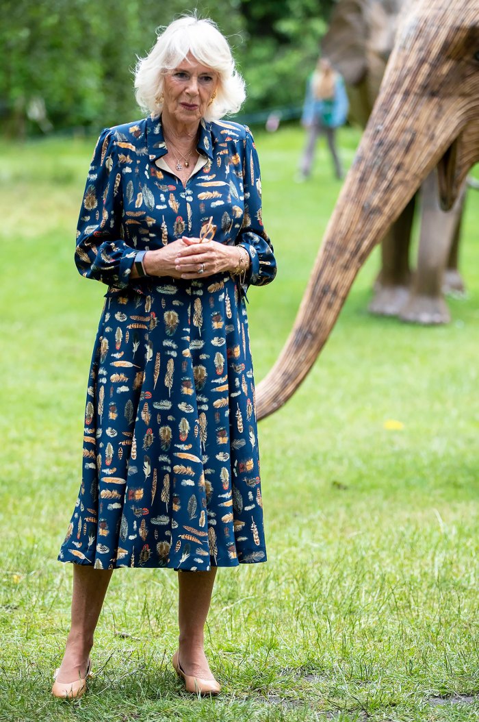 Nữ công tước nhẹ nhàng trong chiếc váy màu xanh nước biển dài phối cùng đôi giày búp bê đến buổi ra mắt the Elephant Family Story Trail tại Công viên St James.