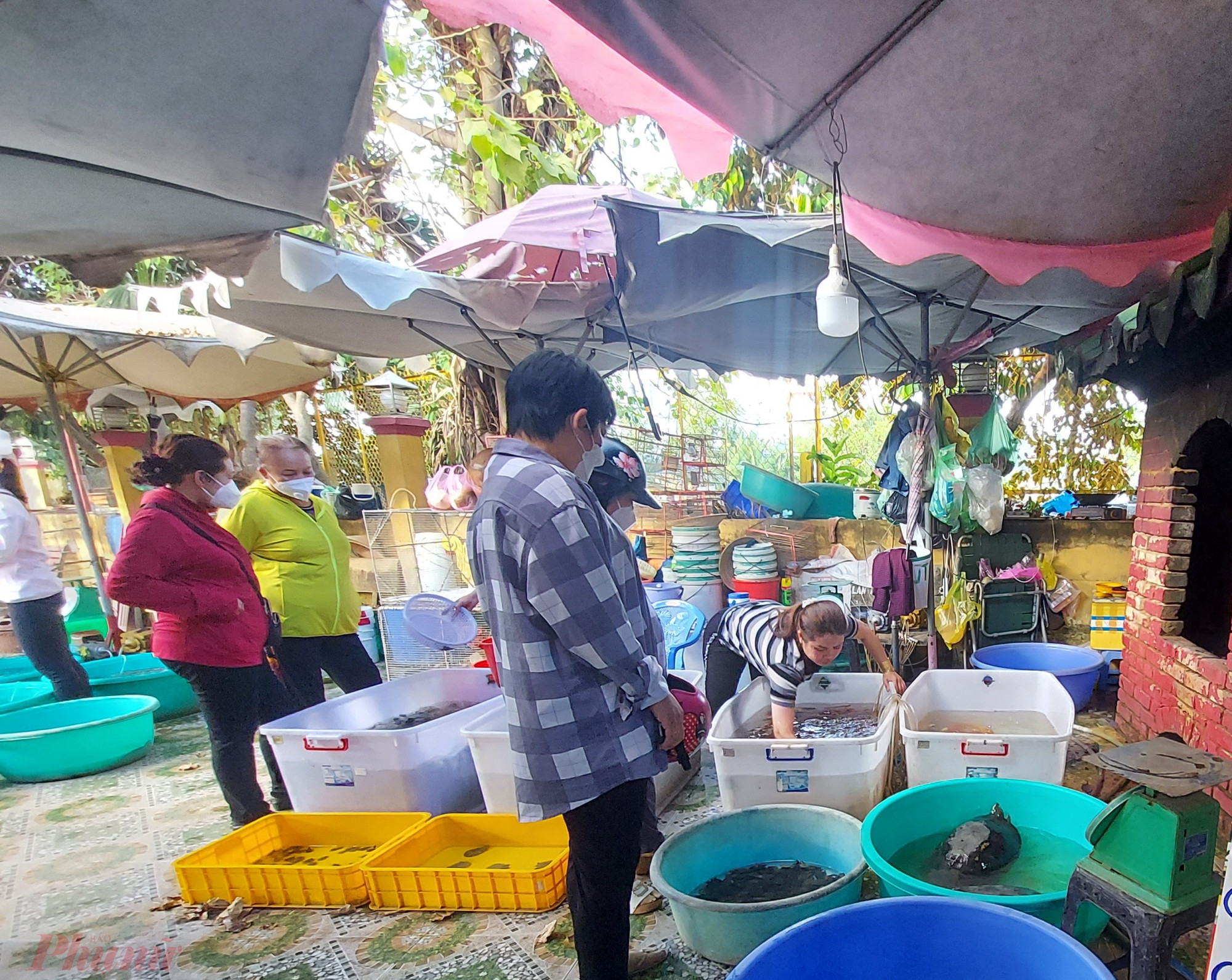 Người dân bức xúc tình trạng bán rùa phóng sanh diễn ra ngay trong khuôn viên di tích lịch sử đình Bình Đông.