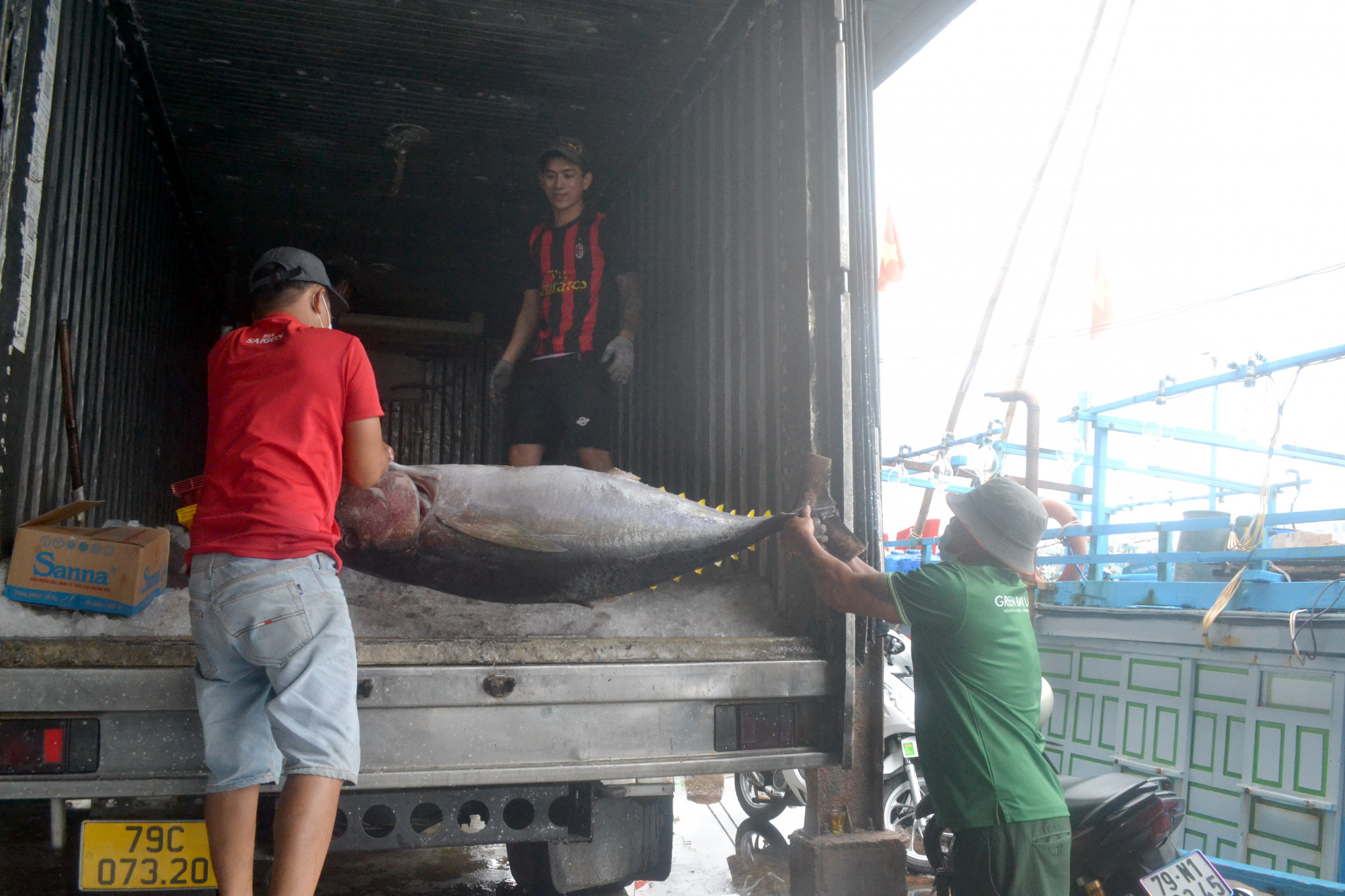 Sau khi kiểm tra, cân ký, cá được đưa lên xe đông lạnh để đóng gói đưa về công ty chế biến xuất khẩu