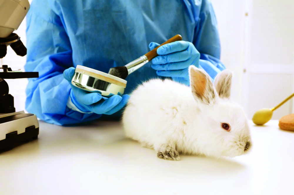 Thử nghiệm sản phẩm làm đẹp trên động vật là vấn nạn toàn cầu cần được thay đổi