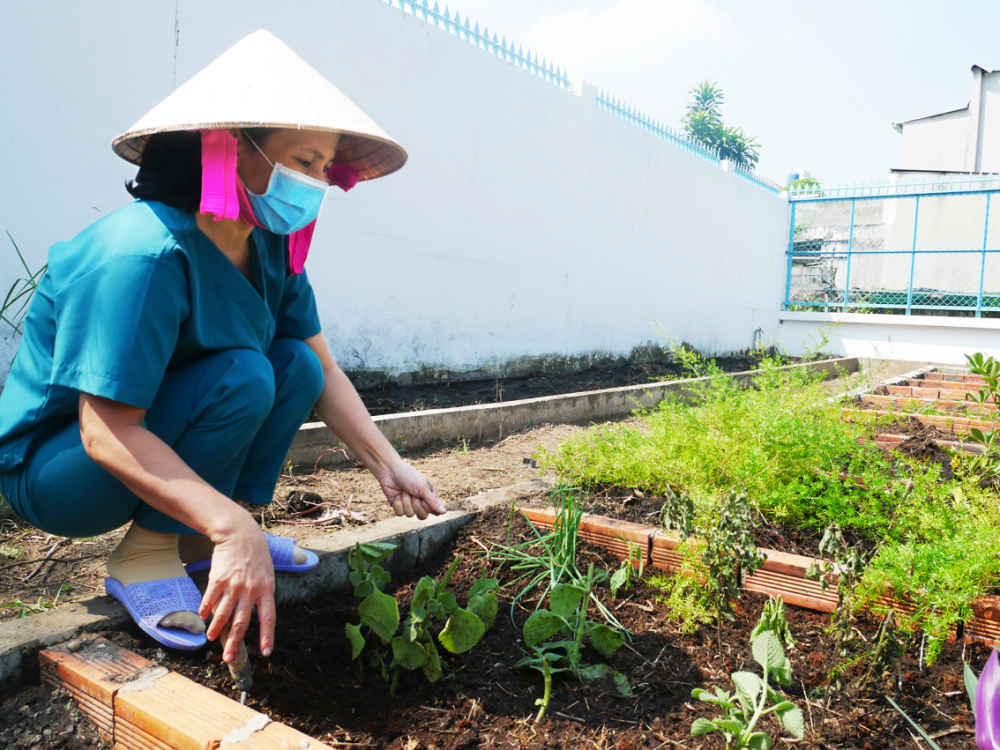Y sĩ Trương Thị Ánh Mai đang trồng thêm một số loài cây thuốc nam trong khuôn viên trạm y tế 