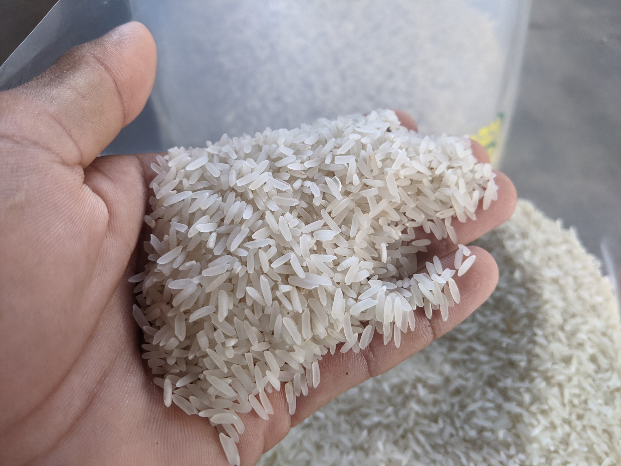 Gạo tươi là gạo xay trực tiếp từ nhà máy, có thể chế biến liền