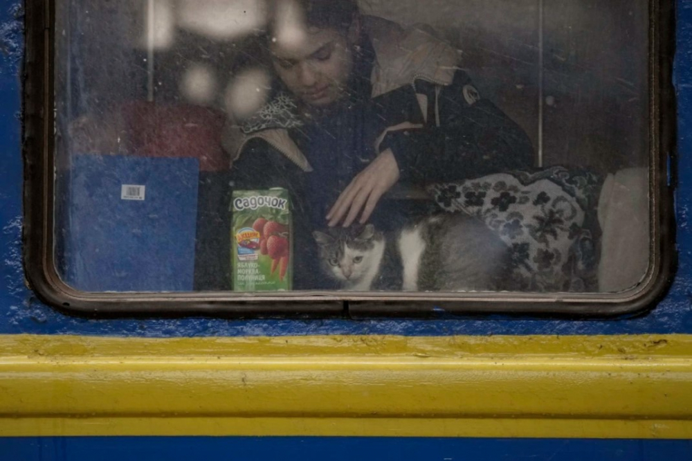 Một cô gái an ủi con mèo của mình trước khi chuyến tàu Lviv khởi hành ở Kyiv