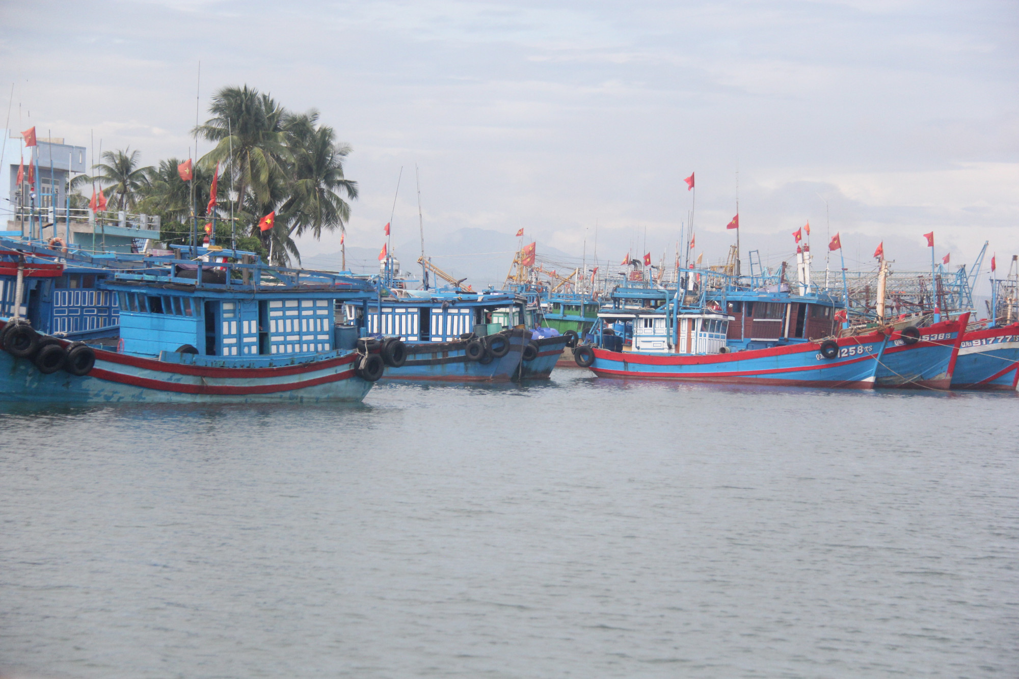 Hiện tại, nhiều chủ tàu vẫn chọn giải pháp nằm bờ, vì nếu tính chi phí thì mỗi chuyến biển họ sẽ lỗ từ 20-30 triệu đồng