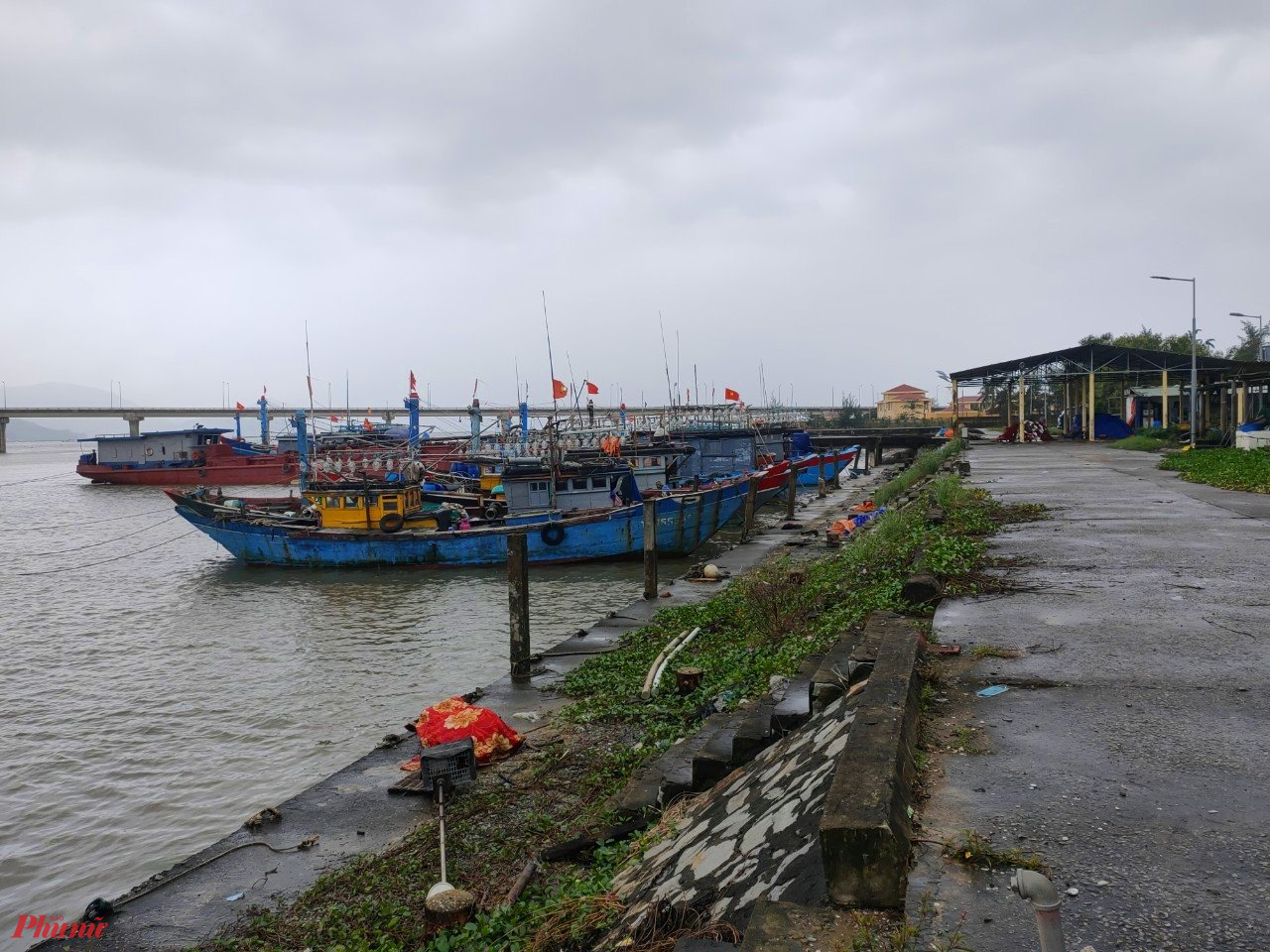 Một góc Khu neo đậu tránh trú bão ở cảng cá Tư Hiền