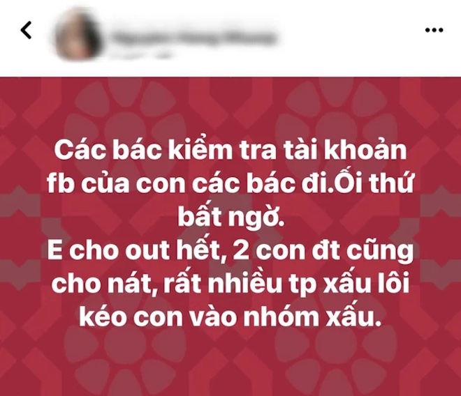 Bên dưới bài đăng này, chị Hồng Nhung chia sẻ một số ảnh chụp màn hình con trai xem nội dung 18+