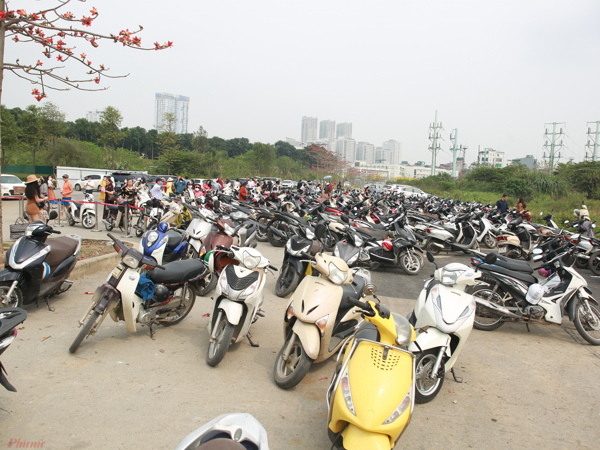  Hàng ngàn người dân đến để “sống ảo”, xe máy, ôtô chật kín bãi đỗ.
