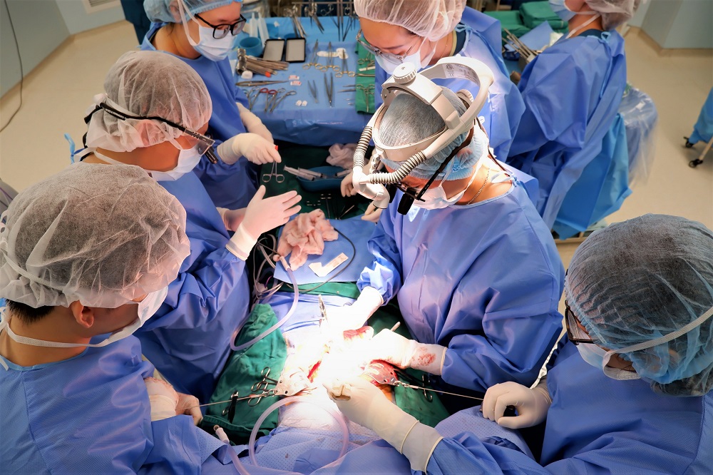 Ekip ghép gan của Bệnh viện Vinmec Times City đã có một ca cắt gan “cân não” để đảm bảo vị trí cắt gan không được sai sót, dù chỉ vài milimet - Ảnh: Vinmec
