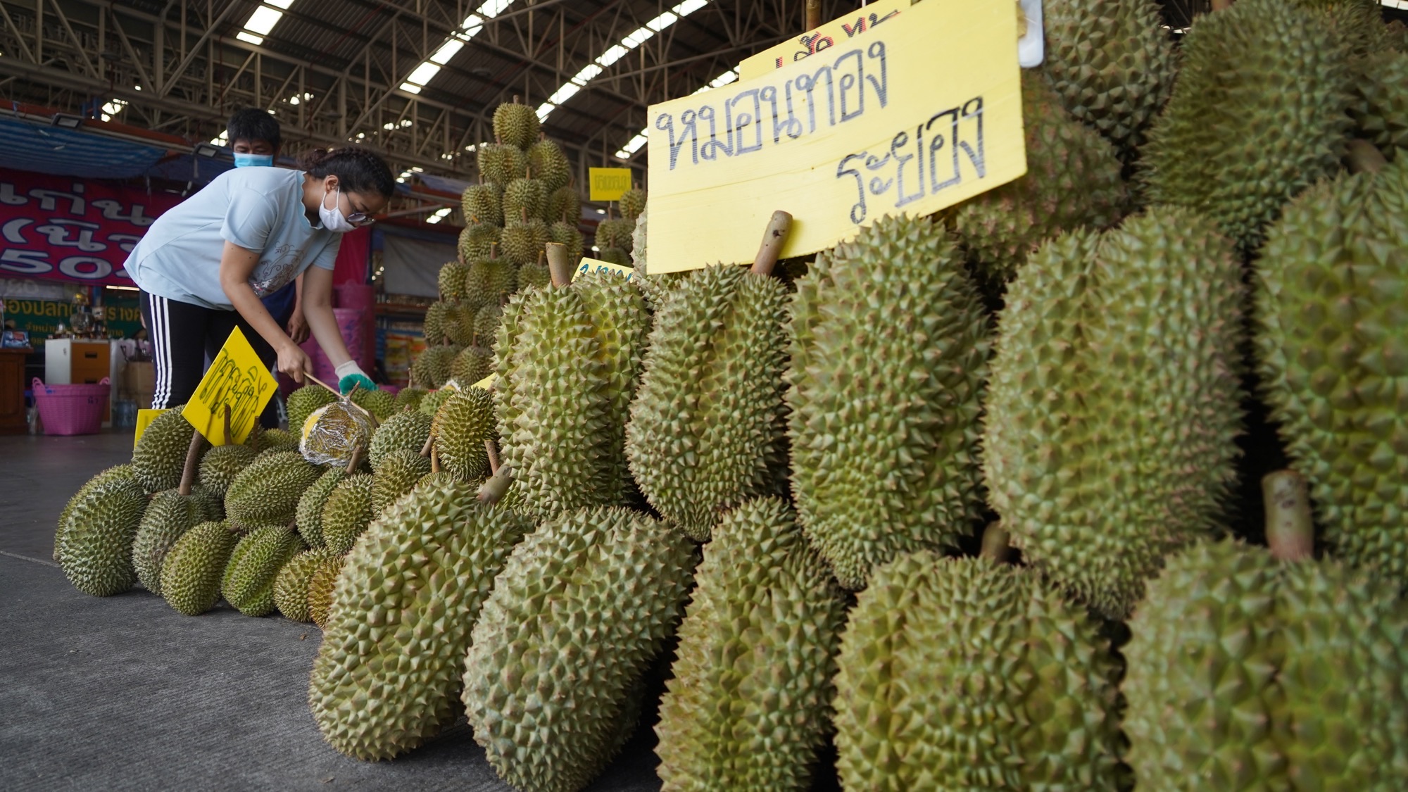 sầu riêng Thái Lan được xuất khẩu đi nhiều nơi trên thế giới và được mệnh danh là vua của các loại trái cây