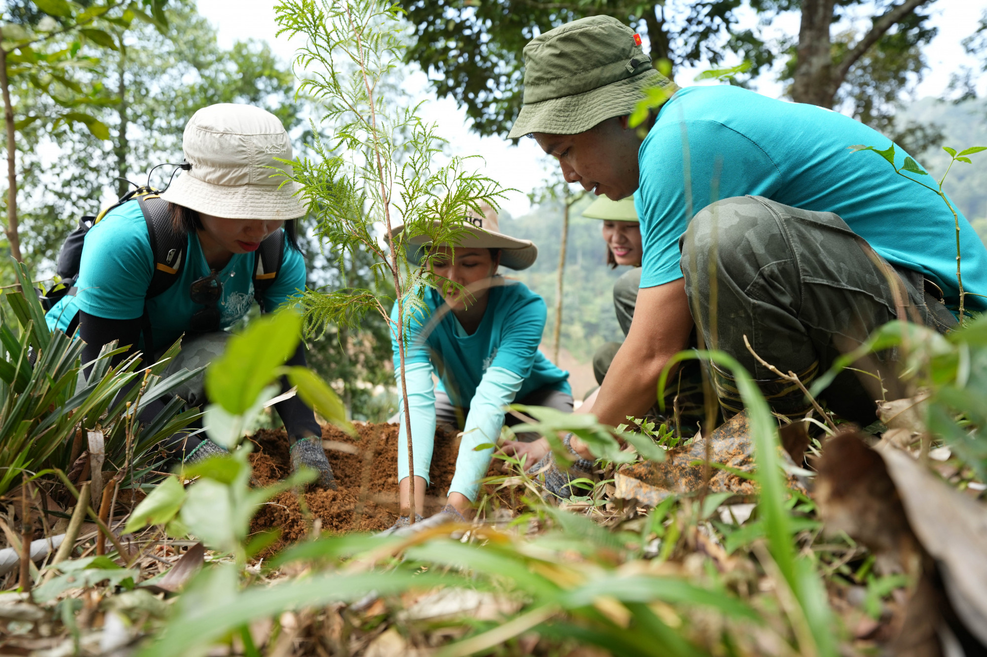 H'Hen Niê tham gia trồng rừng vào tháng 3 vừa qua tại Thanh Hoá