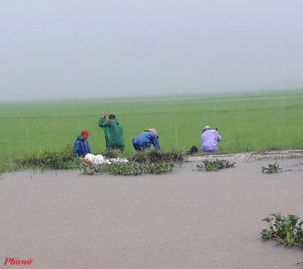 Sáng ngày 2/4, Ban Chỉ huy Phòng, chống thiên tai và Tìm kiếm cứu nạn tỉnh Quảng Trị đã có báo cáo nhanh về tình hình triển khai công tác ứng phó mưa lũ, ảnh hưởng không khí lạnh mạnh kết hợp với hoàn lưu vùng áp thấp