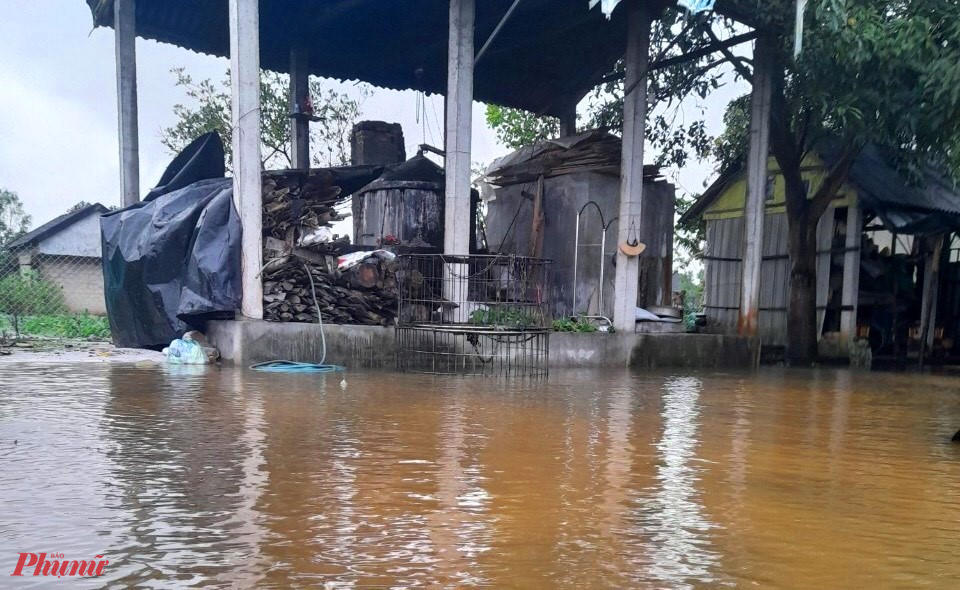 Ngoài ra, 1,5km đê bao ở xã Thủy Phù, 700m đê bao ở P. Thủy Dương và 350m đê bao ở P. Thủy Phương tại Thị xã Hương Thủy (Thừa Thiên- Huế) sạt lở nghiêm trọng. Hiện, chính quyền địa phương đang cùng người dân khẩn trương gia cố các đê đập chống tràn.