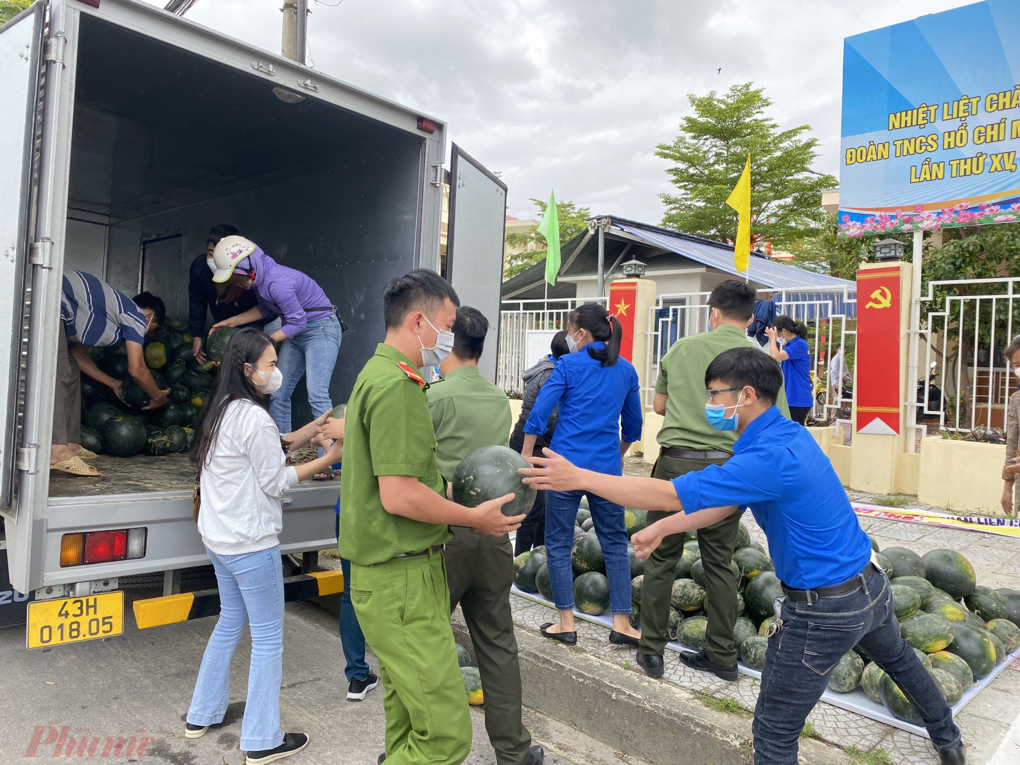 Đoàn viên thanh niên Công an quận Liên Chiểu phối hợp với các đơn vị hỗ trợ thu mua dưa giúp nông dân Quảng Nam