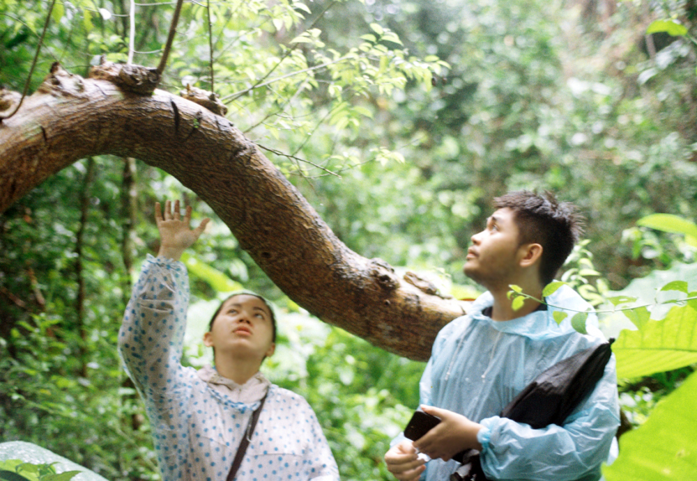 Chiron Duong (phải) trong một chuyến đi thực địa, khảo sát rừng - ẢNH: NHÂN VẬT CUNG CẤP