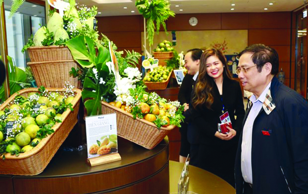 Với thủ tướng Phạm Minh Chính tại triển lãm trái cây