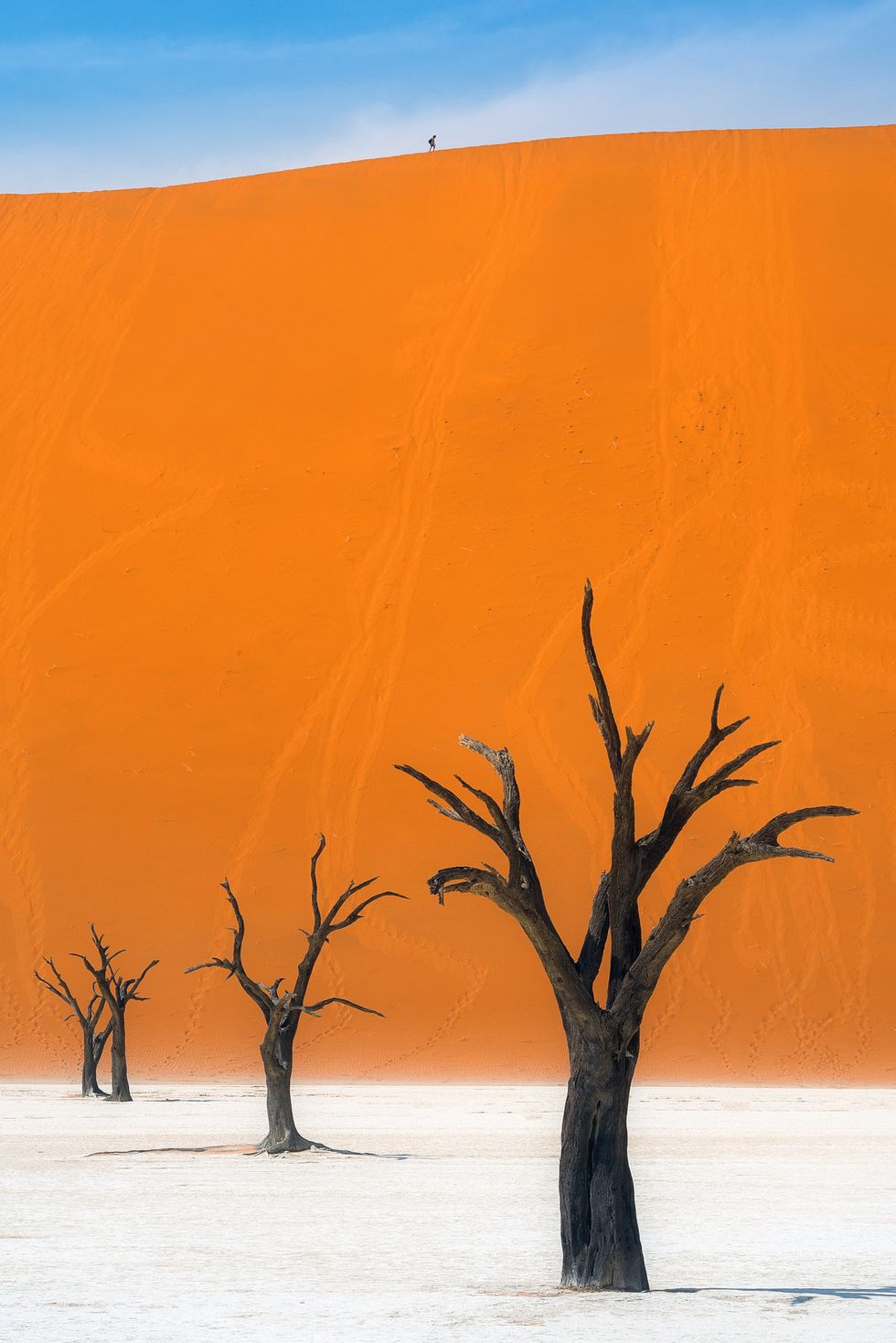 Sa mạc Namib, Namibia Sa mạc Namib của Namibia là nguồn cảm hứng đằng sau một số tác phẩm nổi tiếng nhất của Salvador Dalí. Nó cũng là một trong những sa mạc ven biển độc đáo nhất thế giới, cũng như lâu đời nhất (ít nhất là 55 triệu năm tuổi).