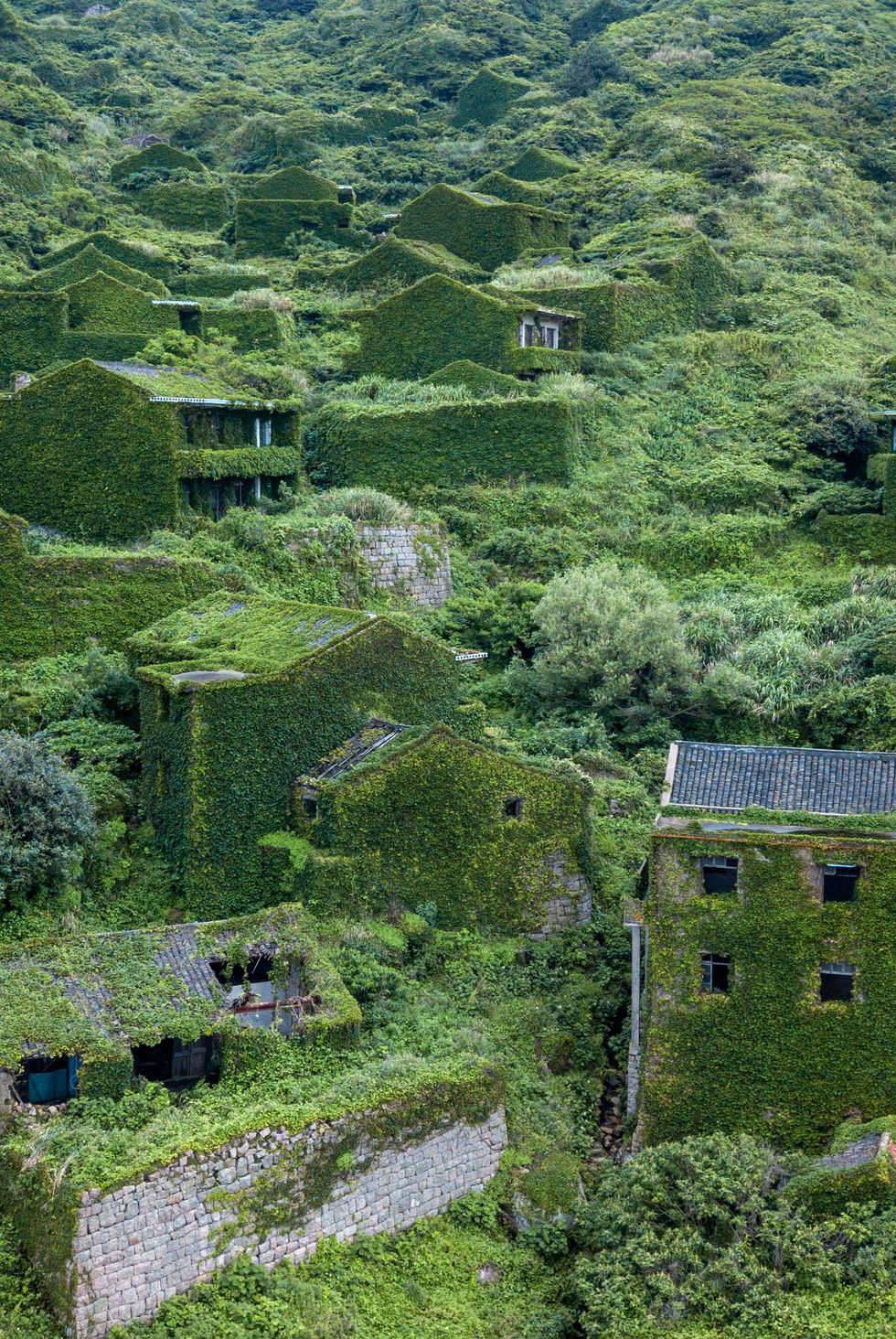 Đảo Gougi, Trung Quốc đảo xanh HÌNH ẢNH GETTY CỦA JOHANNES EISELE Làng chài trên sông Dương Tử của Trung Quốc này không phải là thị trấn bình thường bị lãng quên của bạn — những tòa nhà tươi tốt được bao phủ bởi cây thường xuân và cây cối xanh tươi, yên bình và ấn tượng một cách đáng ngạc nhiên.