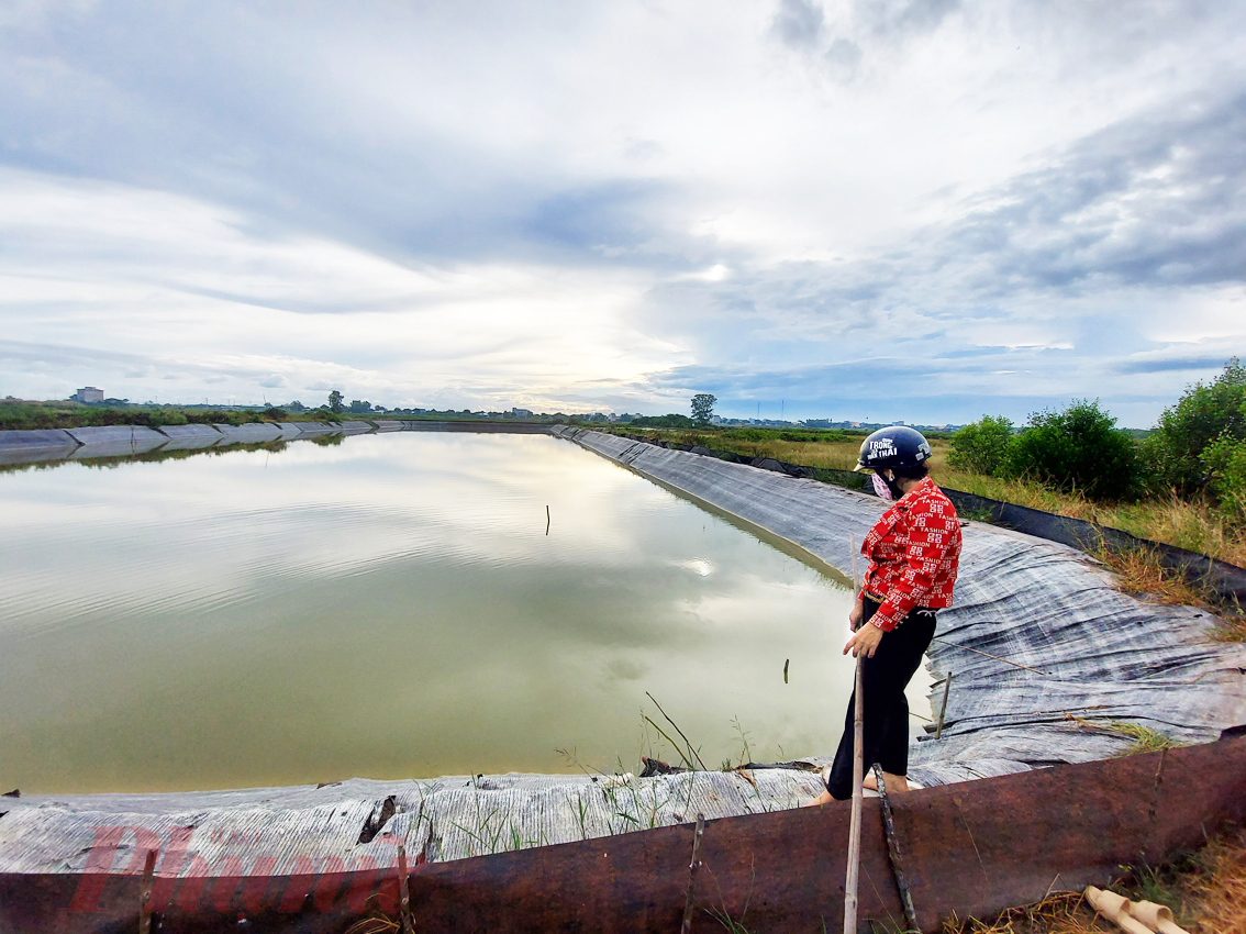 Một hộ dân ở huyện Cần Giờ, TPHCM được hỗ trợ thực hiện mô hình thử nghiệm thủy sản năm 2019.