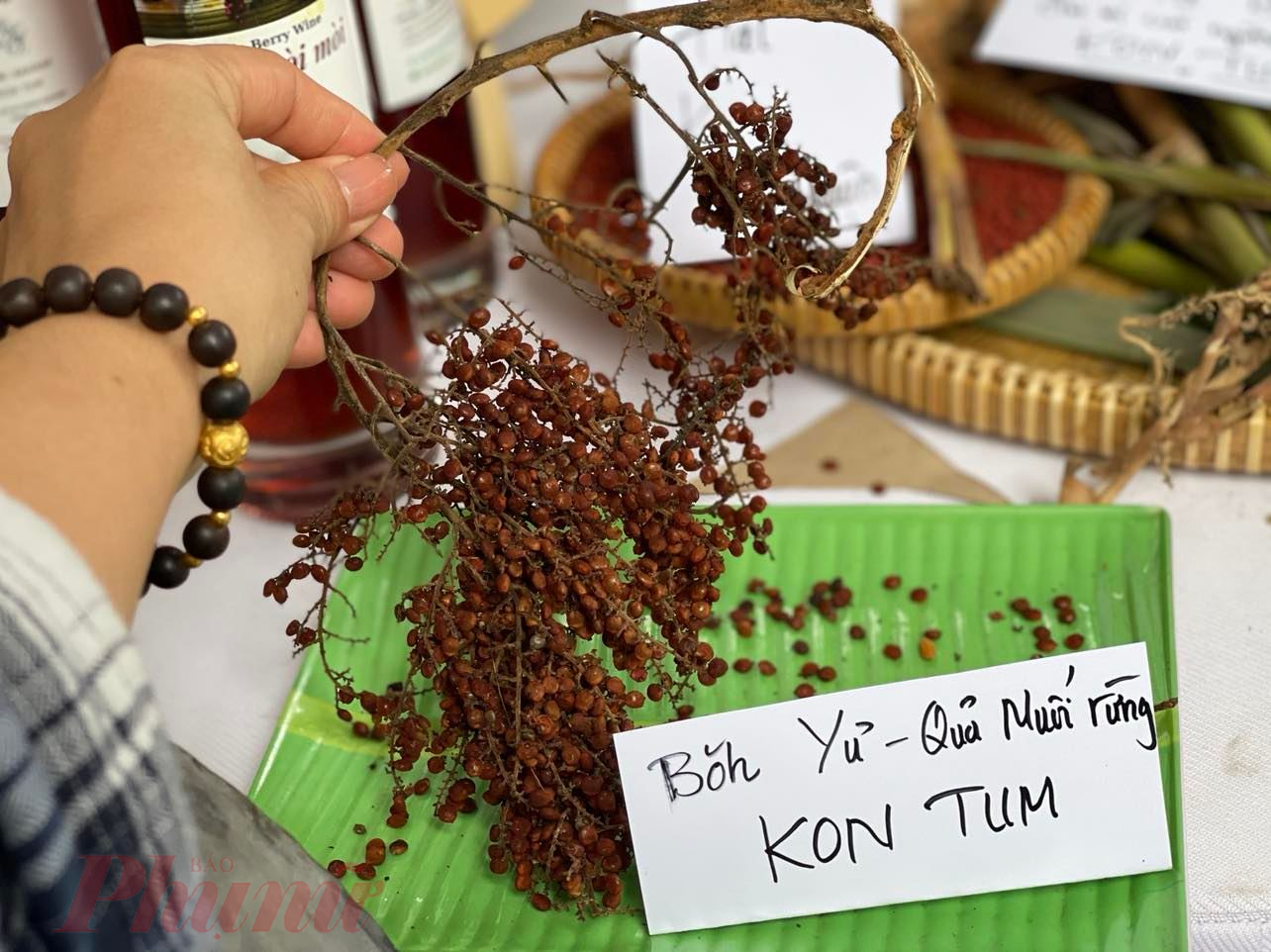 Quả muối rừng mọc nhiều ở Kon Tum, lúc quả còn non được phủ một lớp màu trắng như muối, trái già chuyển màu nâu; dùng để ướp thịt, có vị chua, mặn...