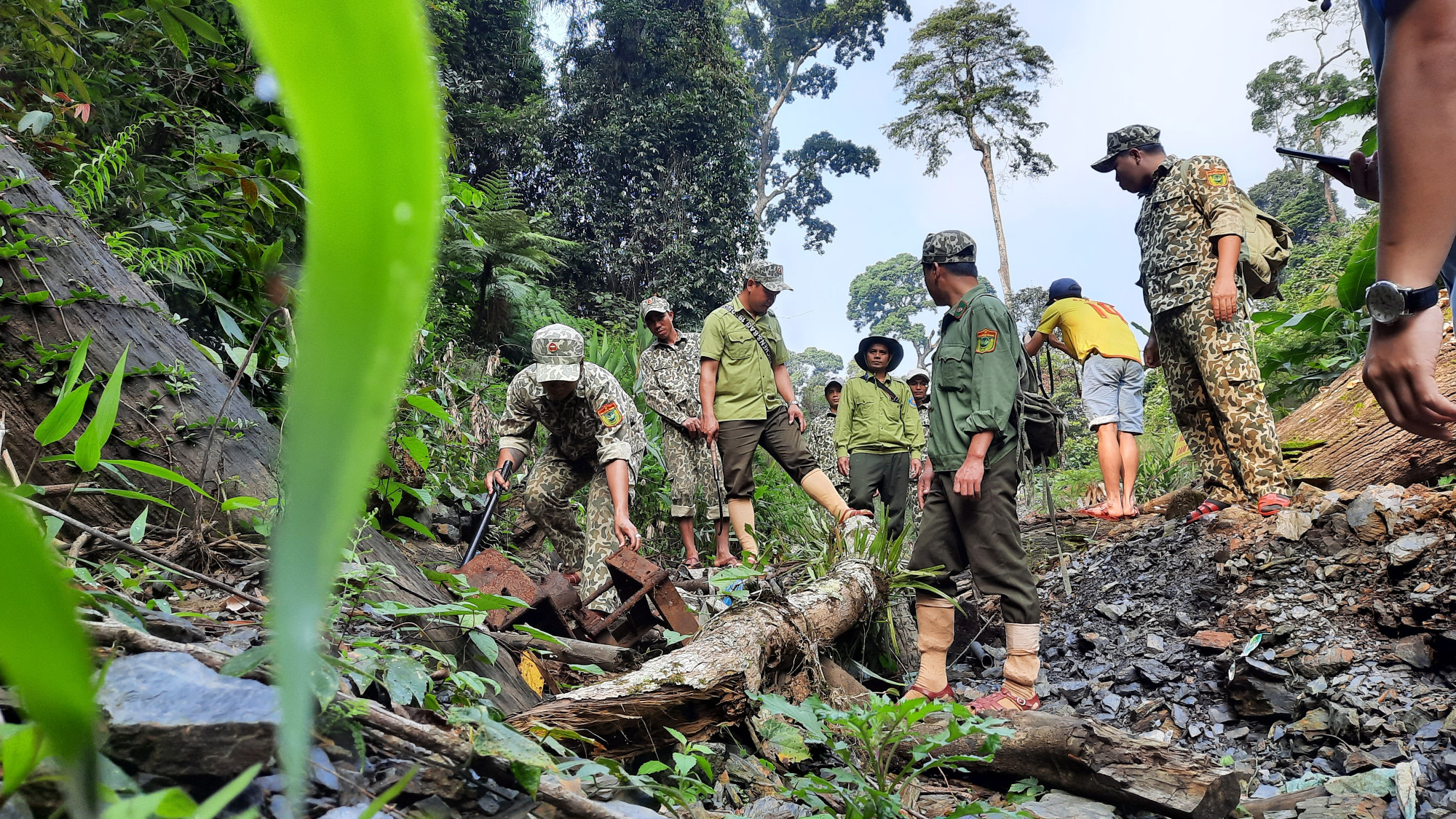 Có hơn 17ha rừng tự nhiên bị phá trong những năm vừa qua tại Quảng Nam