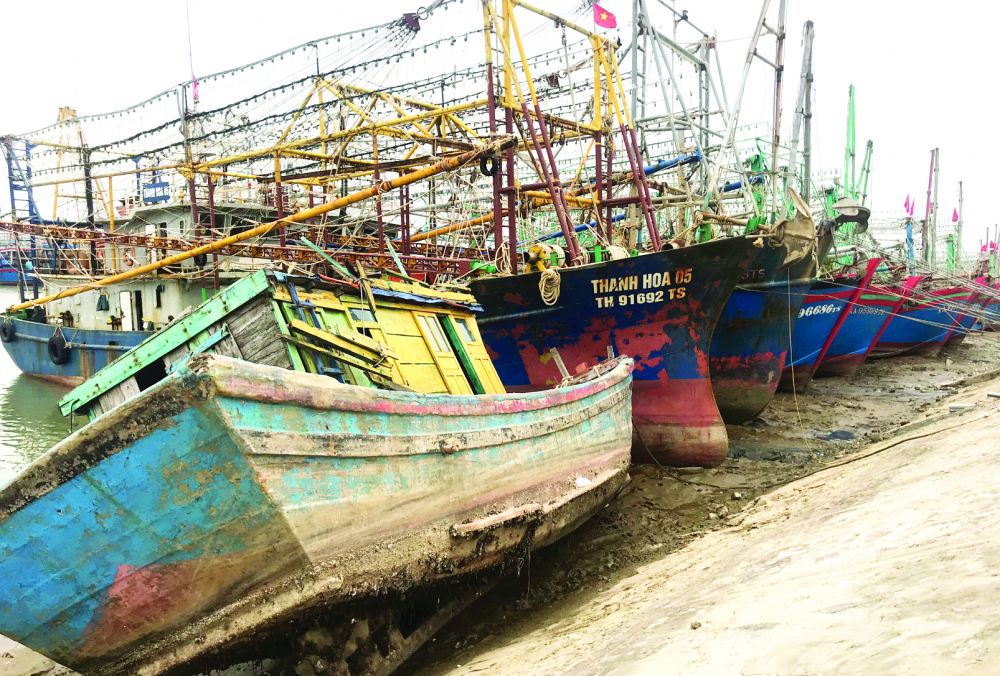 Tàu cá không ra khơi mà neo đậu chật kín các con lạch ở tỉnh Nghệ An - ẢNH: PHAN NGỌC