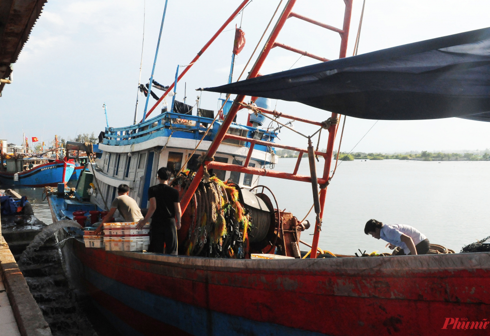 Giá hải sản không tăng theo kịp giá dầu khiến ngư dân lao đao