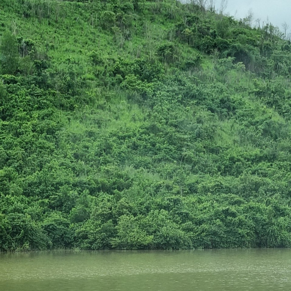Hạt Kiểm lâm Ninh Hòa đang thực hiện các nhiệm vụ về quản lý, bảo vệ rừng với tổng diện tích đất có rừng quy hoạch cho lâm nghiệp là hơn 47.284 ha