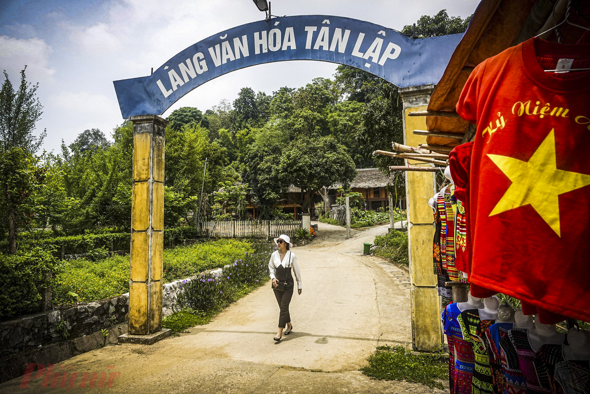 cây đa Tân Trào là cây cổ thụ nằm ở đầu làng Kim Long, nay là thôn Tân Lập, xã Tân Trào