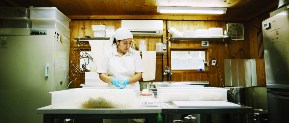 Mỗi tháng, Shibata xuất xưởng khoảng 15 loại phô mai - Ảnh: Atlas Obscura