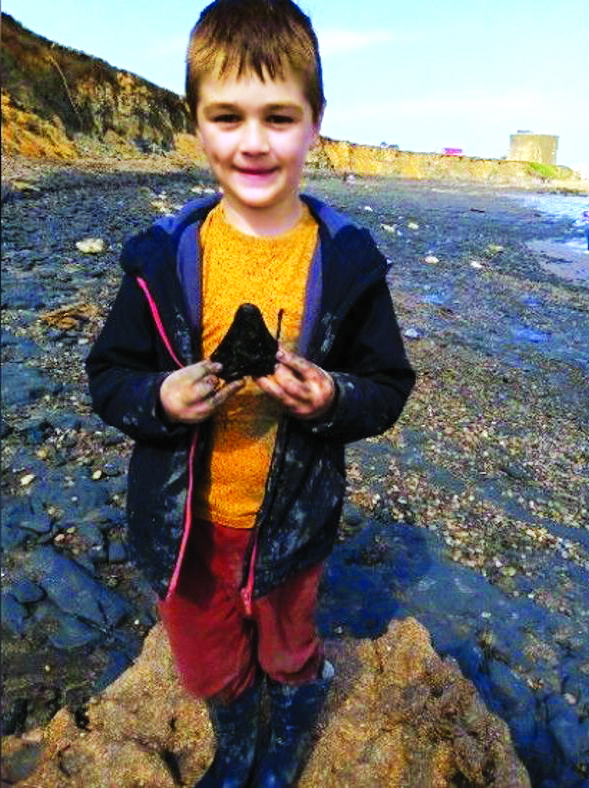 Cậu bé Sammy Shelton sáu tuổi tình cờ tìm thấy một chiếc răng cá mập Megalodon - loài cá mập tồn tại cách đây khoảng 3 triệu năm - ẢNH: BBC