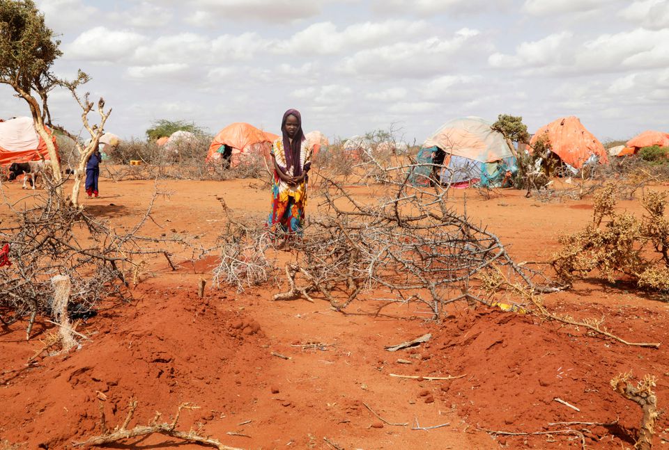 Somali đang hứng chịu đợt hạn hán tồi tệ nhất trong vòng 40 năm qua