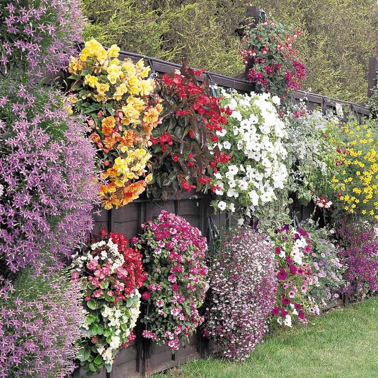 Giỏ hoa tường Nếu bạn có hàng rào riêng tư , hãy thử gắn một số chậu vào hàng rào . Bạn có thể thêm nhiều hoặc ít tùy thích và trộn và kết hợp các loại thùng chứa khác nhau . Nhiều loại hoa có thể tạo ra một màn hình đẹp mà bạn sẽ thích suốt cả mùa.
