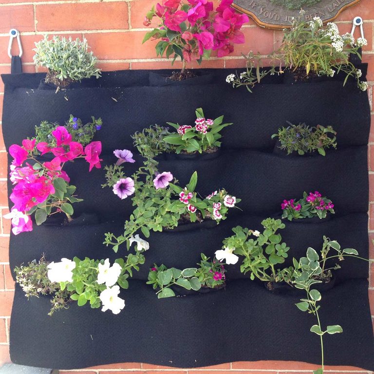 Tường hoa nỉ Bức tường hoa này được làm bằng Florafelt. Nó có các túi để bạn trồng hoa, thảo mộc hoặc các loài xương rồng. Nó có thể được neo vào tường hoặc hàng rào. Có những loại bạn có thể mua trực tuyến hoặc thử tạo một diện mạo tương tự bằng một số loại vải làm cảnh.