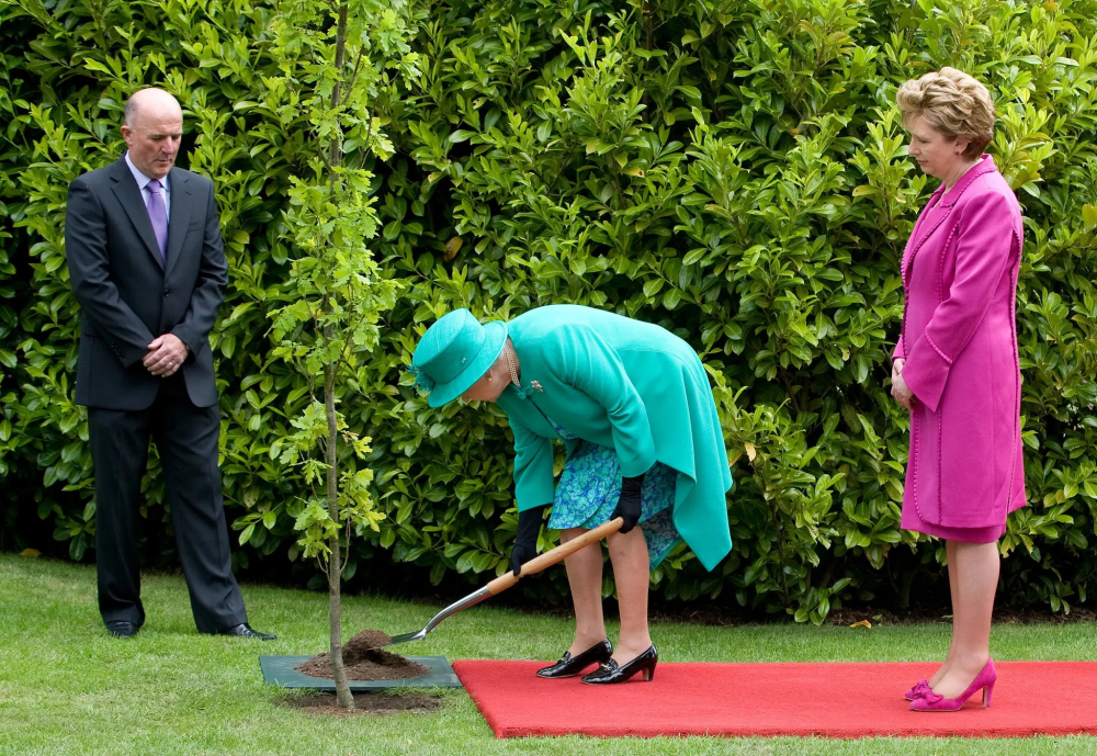 Nữ hoàng trồng cây ở Dublin vào năm 2011, với sự tham dự của Tổng thống Ireland Mary McAleese, trong chuyến thăm đầu tiên của một quốc vương Anh đến đây kể từ năm 1911