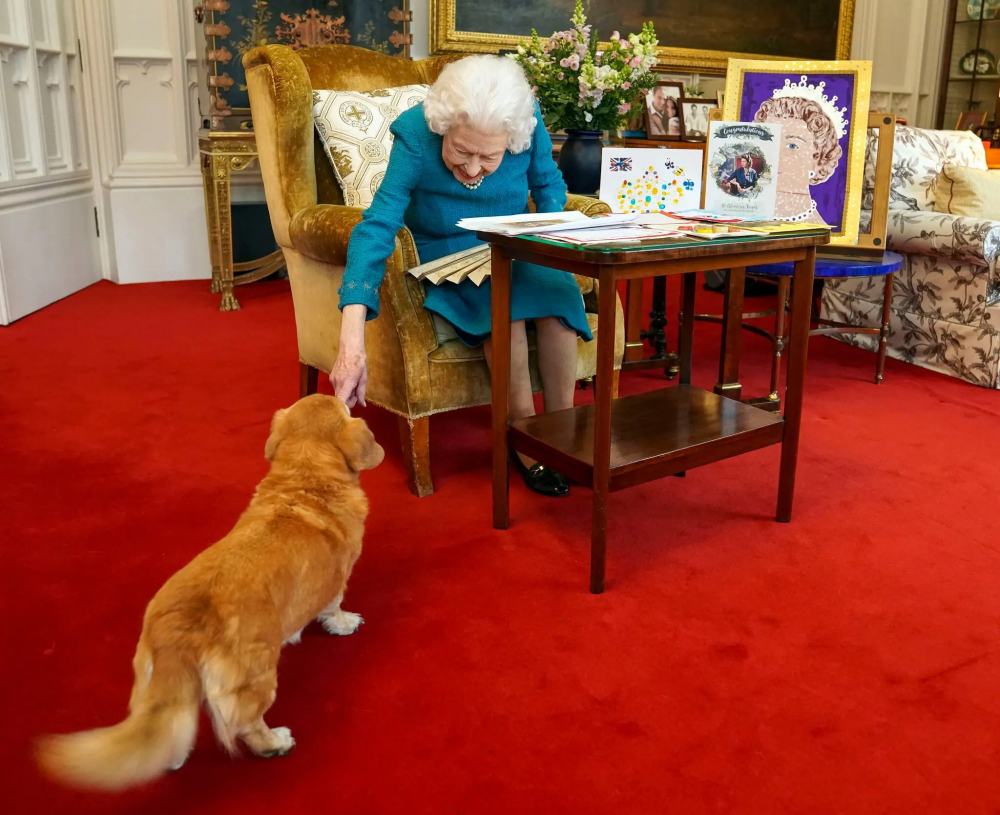 Nữ hoàng với một trong những con chó của mình, thuộc giống corgi tên là Candy, tại Lâu đài Windsor vào tháng 2/2022