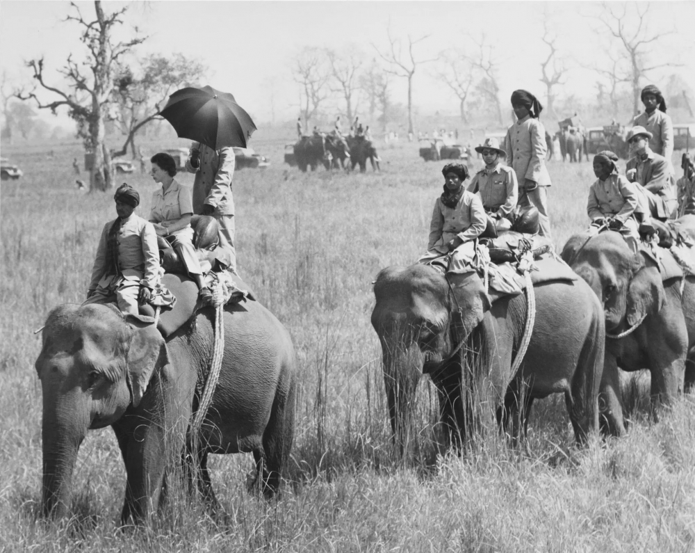 Nữ hoàng cưỡi voi sau một cuộc săn hổ, một phần trong chuyến công du của hoàng gia Nepal vào tháng 2/1961