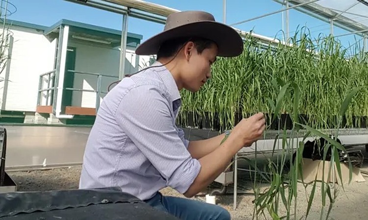 Tiến sĩ Hoan Dinh xuất thân từ một gia đình nông dân nghèo ở Việt Nam và được chính phủ Australia cấp học bổng sang nghiên cứu về khoa học nông nghiệp tại Đại học Sydney - Ảnh: Hoan Dinh/USYD