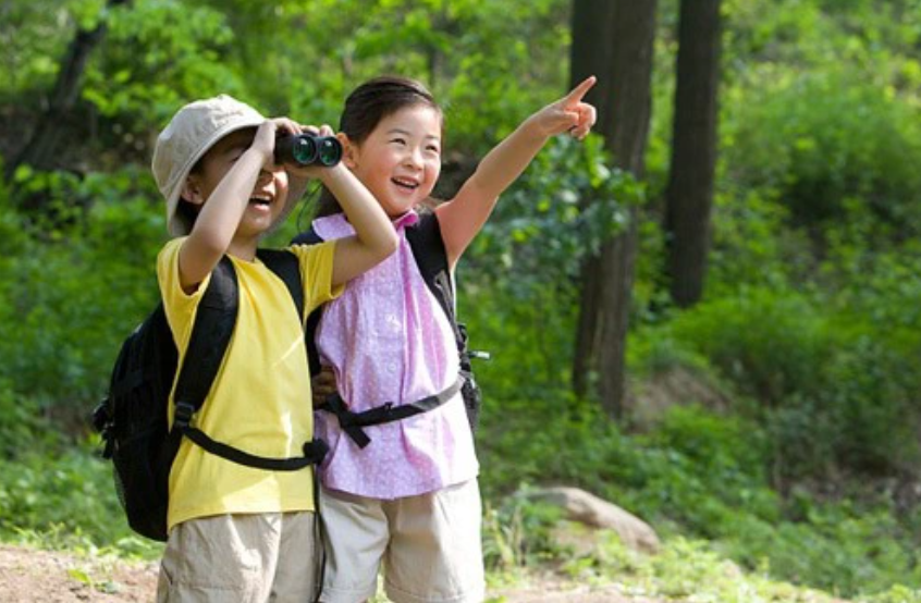 Trải nghiệm mùa hè: Dạy trẻ gắn kết với thiên nhiên