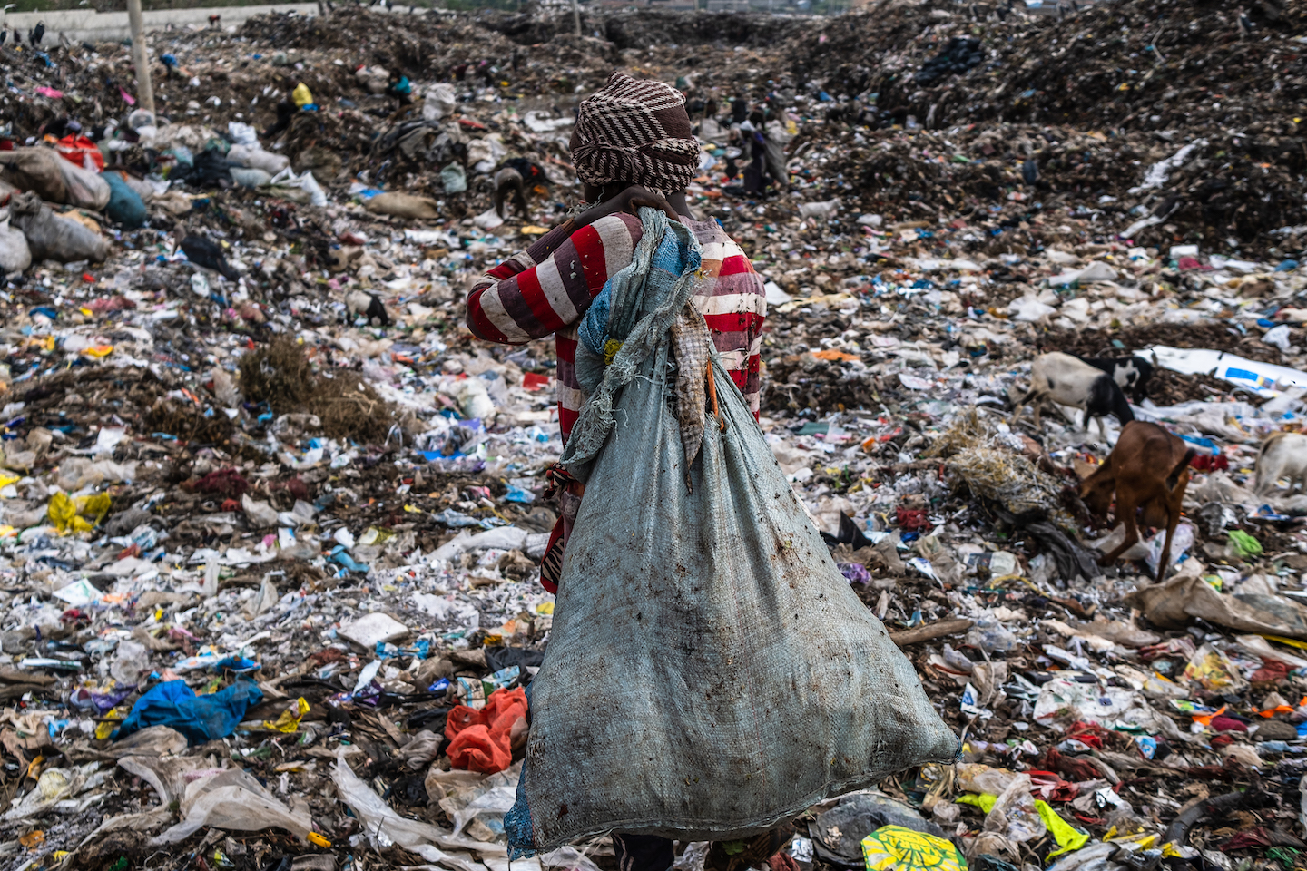 Ở Dandora, Kenya, có khoảng 5.000 nhân công nhặt rác làm việc mỗi ngày. Trên toàn quốc gia Đông Phi, số lượng này ước tính lên đến 50.000 người.   