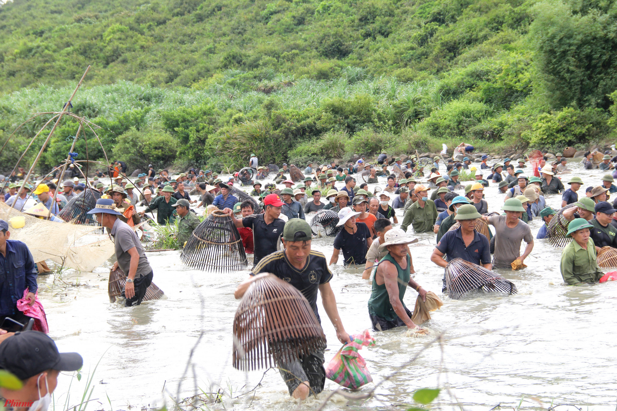 Hàng ngàn 'nơm thủ phủ kín mặt nước đuổi bắt cá