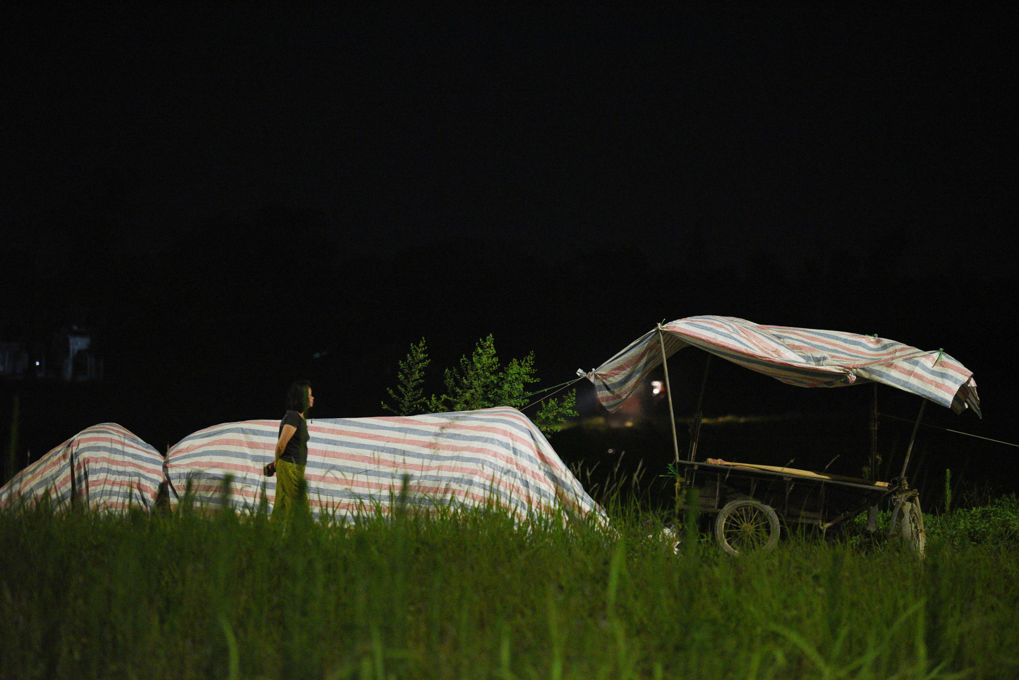 Tại 2 bên vỉa hè đường nhiều những lều tạm bợ được người dân dựng lên để trông lúa vào ban đêm.
