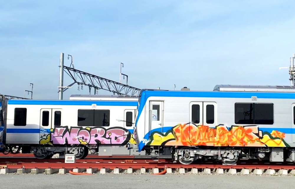 Hai toa tàu metro số 1 (Bến Thành - Suối Tiên) đậu ở depot Long Bình (TP.Thủ Đức, TP.HCM)  bị xịt sơn - ẢNH: A.K