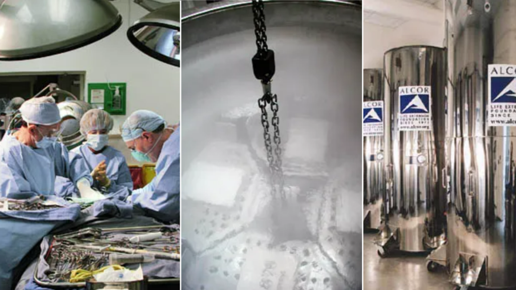 Hình ảnh cho thấy quy trình bảo quản thi thể bao gồm các bước: xử lý tử thi, đưa tử thi vào một bồn kim loại không rỉ, sau đó nhúng toàn bộ quan tài thép đó vào bể chứa đầy hóa chất bảo quản dạng lỏng - Ảnh: Alcor Media 